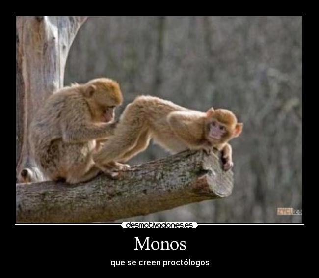 Monos - 