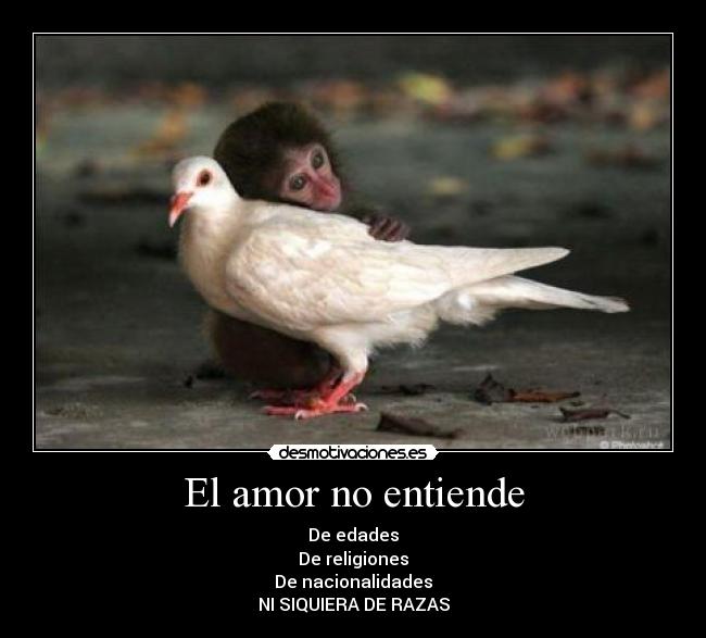 El amor no entiende - De edades
De religiones
De nacionalidades
NI SIQUIERA DE RAZAS
