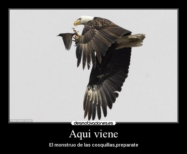 Aqui viene - El monstruo de las cosquillas,preparate