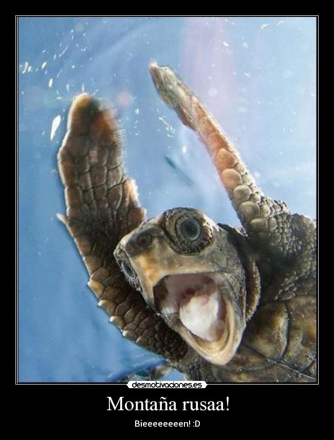 Montaña rusaa! -