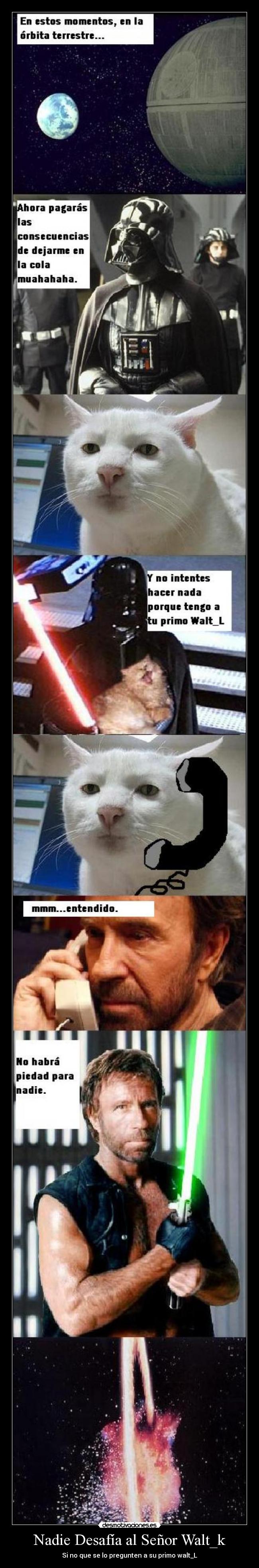 Nadie Desafía al Señor Walt_k -