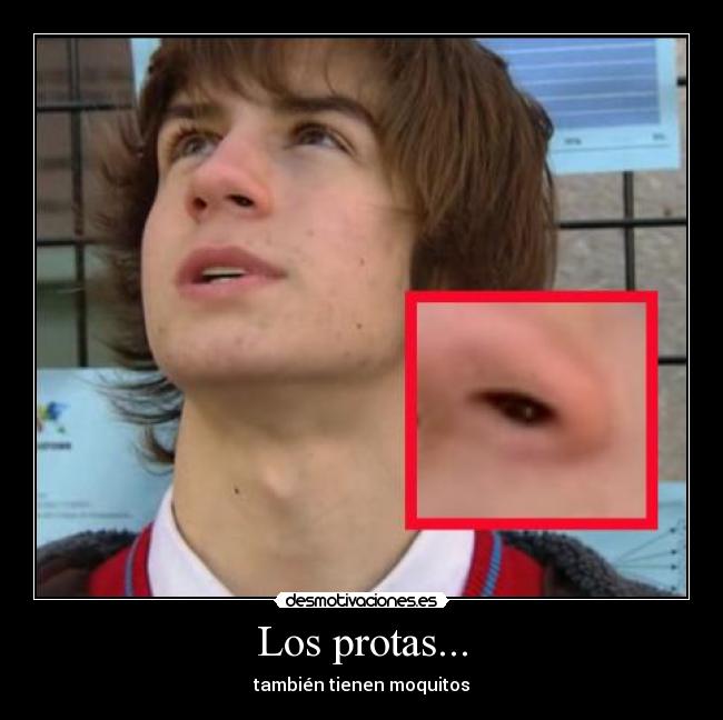 Los protas... -