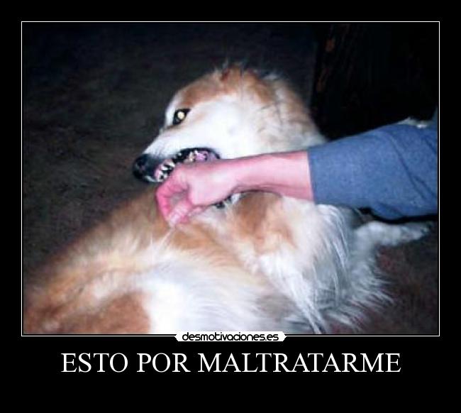 ESTO POR MALTRATARME -