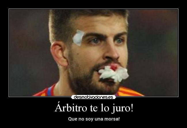 carteles morsa desmotivaciones