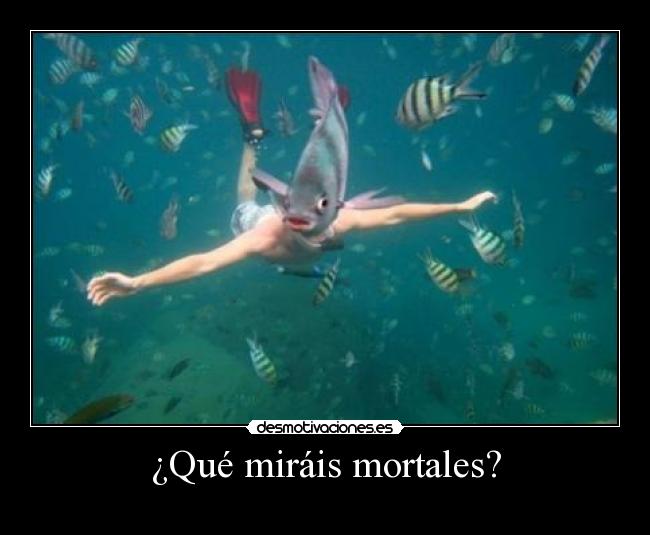 carteles  desmotivaciones