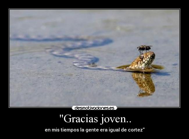 Gracias joven.. - 