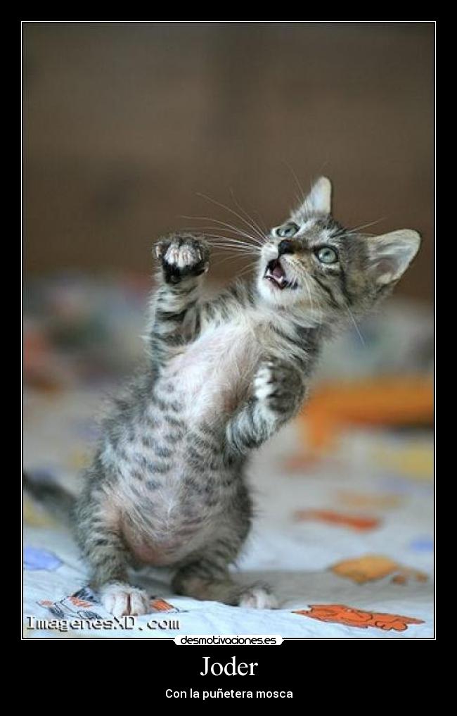 Joder - 
