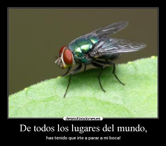 De todos los lugares del mundo, -