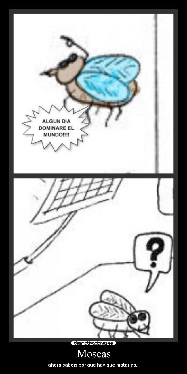 Moscas -
