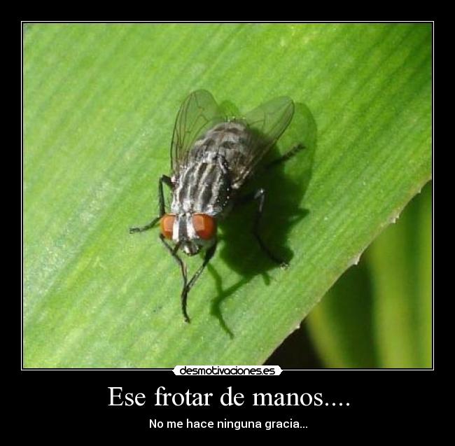 Ese frotar de manos.... - No me hace ninguna gracia...