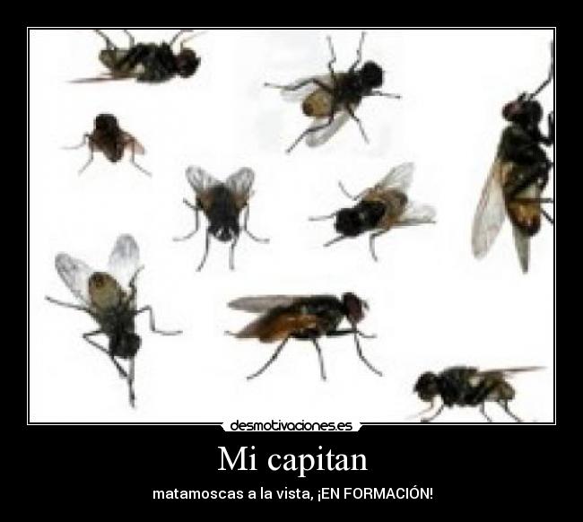 carteles edumv desmotivaciones