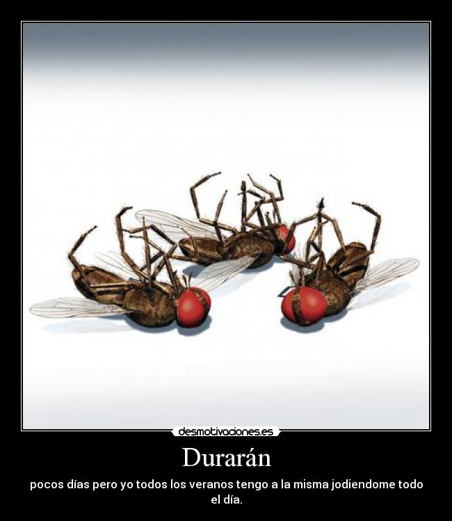 Durarán - 