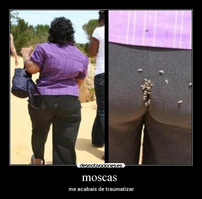moscas  - me acabais de traumatizar