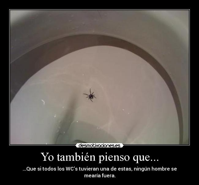 Yo también pienso que... - ...Que si todos los WCs tuvieran una de estas, ningún hombre se mearía fuera.
