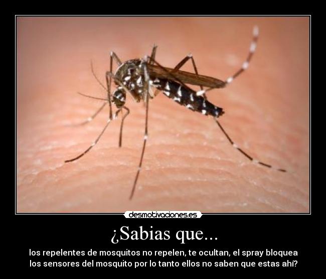 ¿Sabias que... -