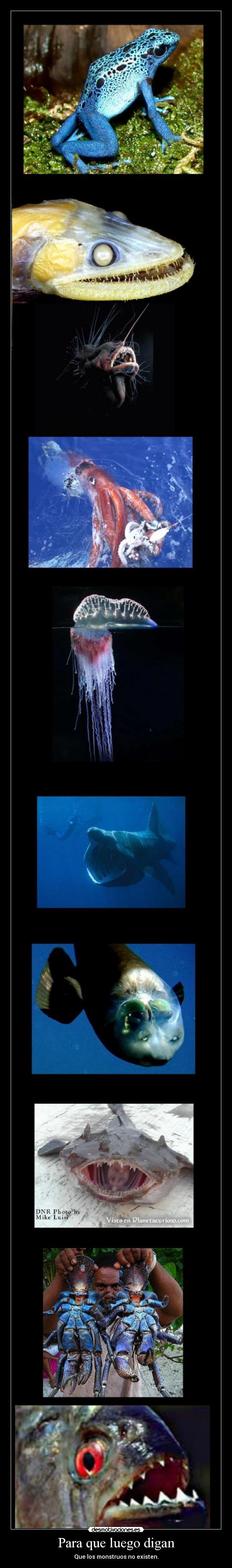 Para que luego digan -