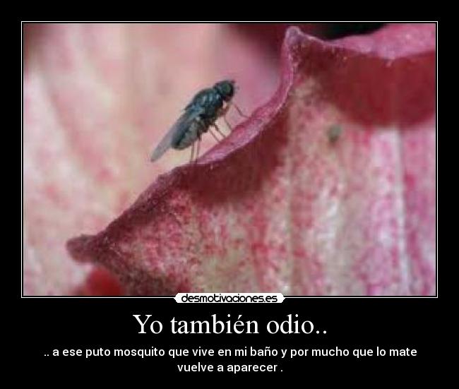 Yo también odio.. - 