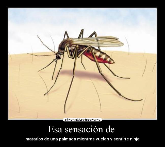 Esa sensación de -