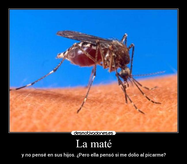 La maté - y no pensé en sus hijos. ¿Pero ella pensó si me dolio al picarme?