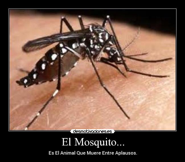 El Mosquito... - Es El Animal Que Muere Entre Aplausos.