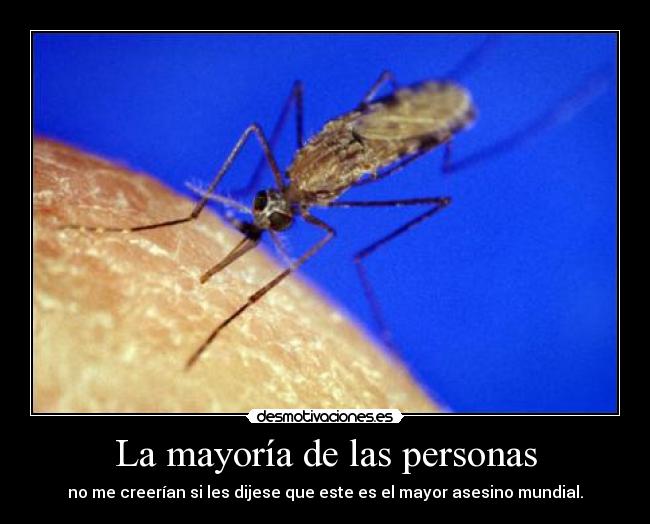 carteles malaria desmotivaciones
