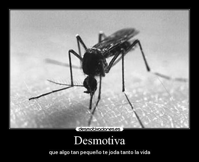Desmotiva -
