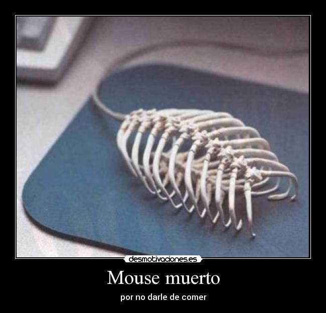 Mouse muerto - por no darle de comer