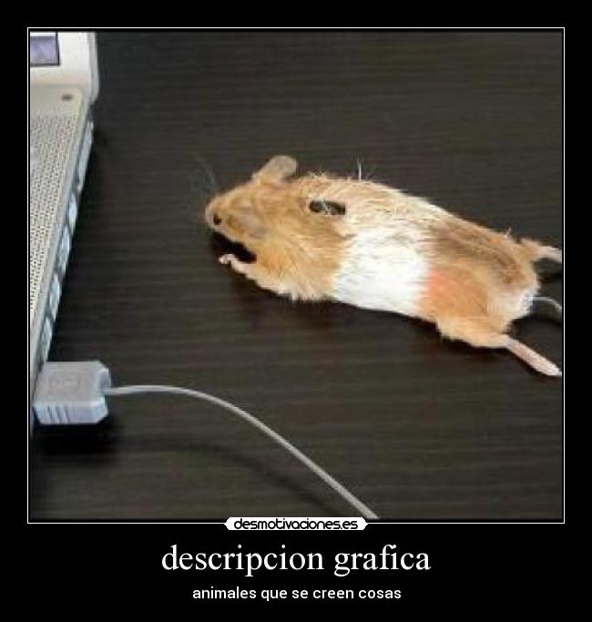 descripcion grafica - 