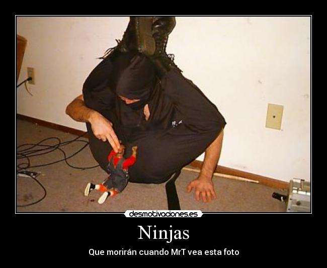 Ninjas - 