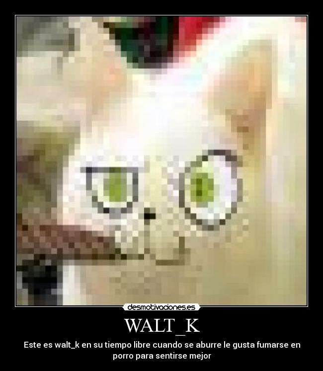 WALT_K -