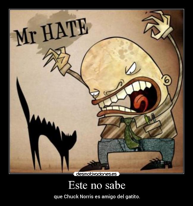 Este no sabe - 