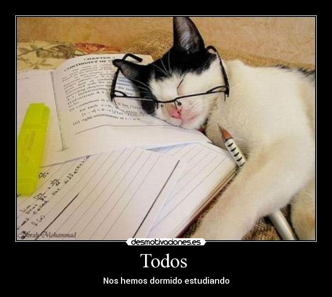 Todos - Nos hemos dormido estudiando