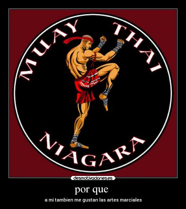 por que - a mi tambien me gustan las artes marciales