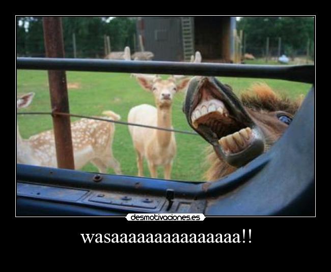 wasaaaaaaaaaaaaaaa!! -