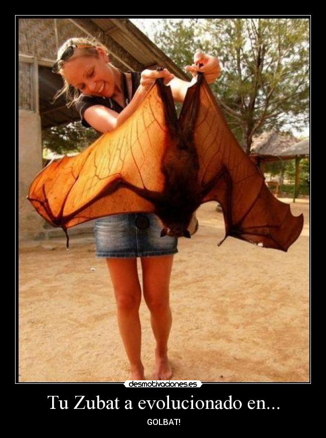 Tu Zubat a evolucionado en... -