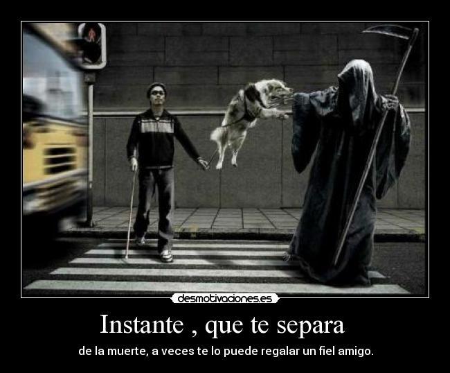 Instante , que te separa  - de la muerte, a veces te lo puede regalar un fiel amigo.