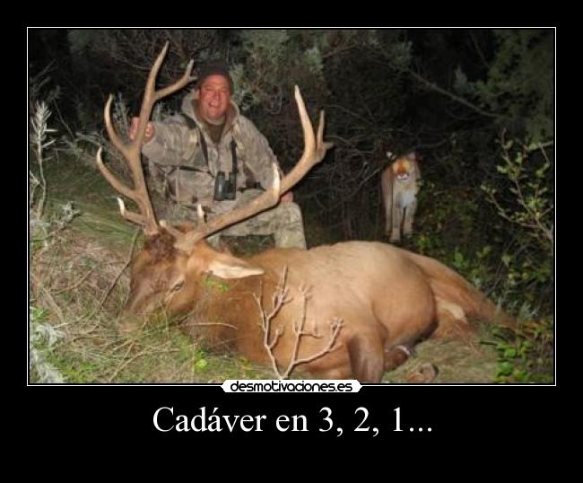 Cadáver en 3, 2, 1... -