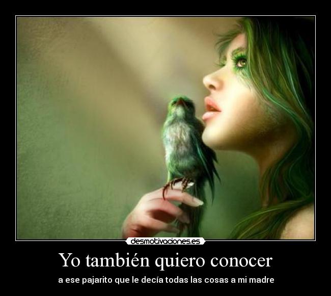 Yo también quiero conocer - a ese pajarito que le decía todas las cosas a mi madre