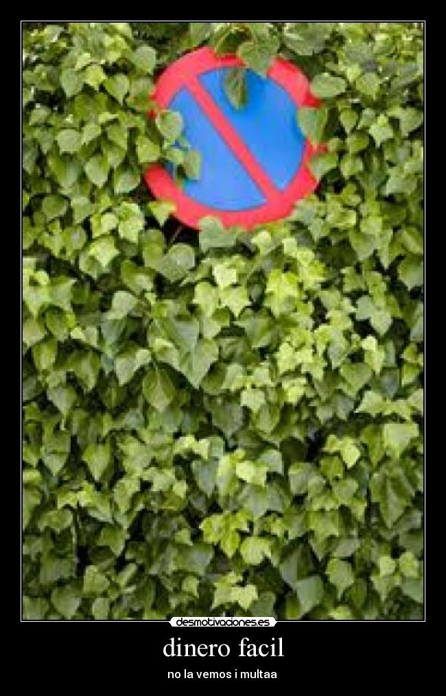 dinero facil - 