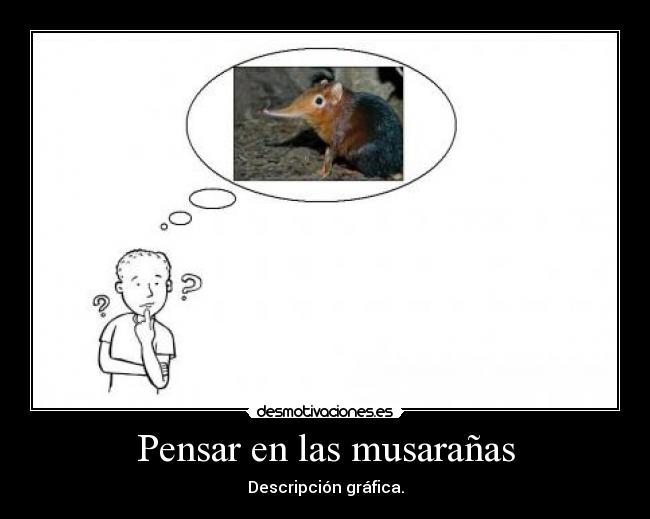 Pensar en las musarañas - Descripción gráfica.