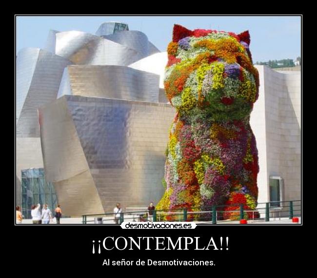 ¡¡CONTEMPLA!! - Al señor de Desmotivaciones.