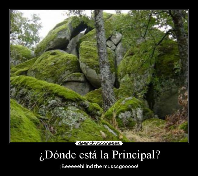 ¿Dónde está la Principal? - ¡Beeeeehiiind the musssgooooo!