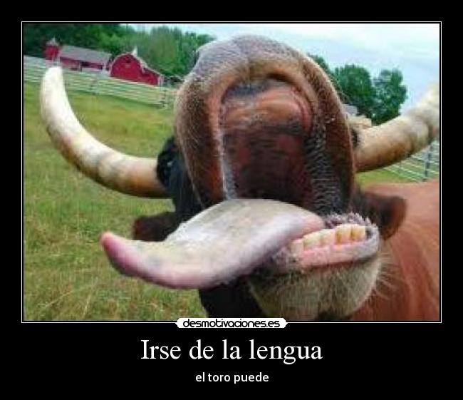 Irse de la lengua - el toro puede