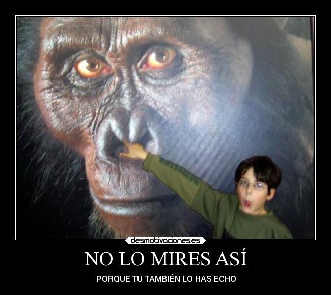 carteles monos desmotivaciones