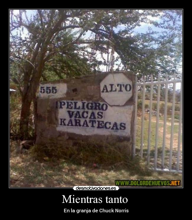 carteles chuck norris vaca granja mientras tanto desmotivaciones