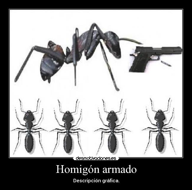 Homigón armado - 