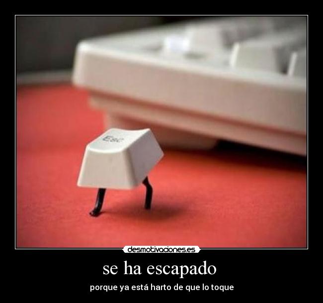 se ha escapado - porque ya está harto de que lo toque