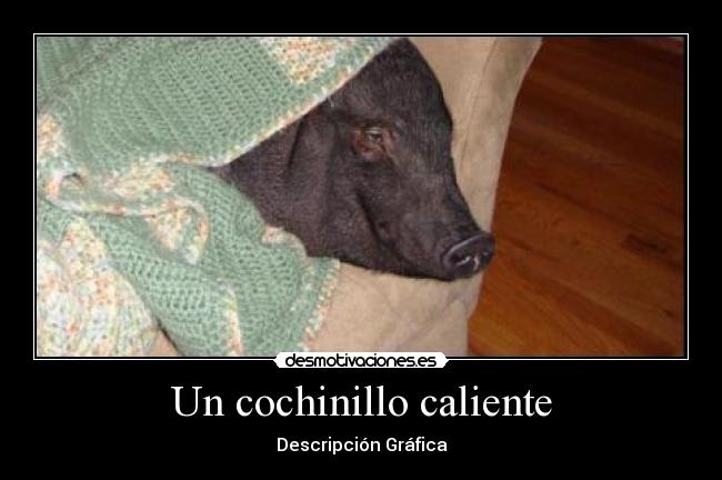 Un cochinillo caliente - Descripción Gráfica