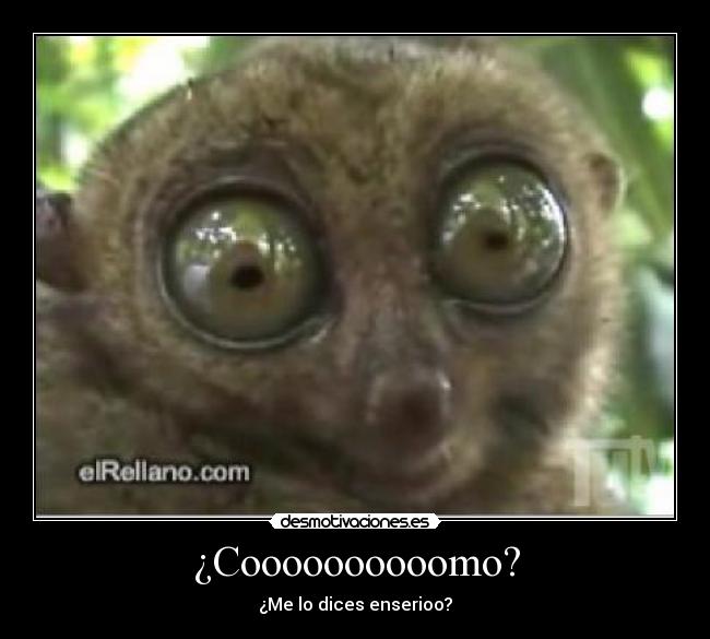 ¿Coooooooooomo? - ¿Me lo dices enserioo?