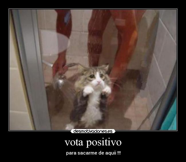 vota positivo -
